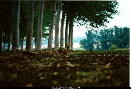 Photos réalisées par Guy LELONG
