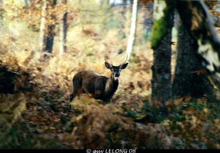 Photos ralises par Guy LELONG