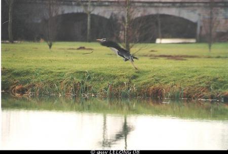 Photos réalisées par Guy LELONG
